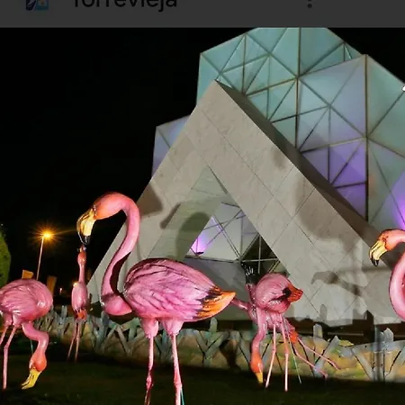 Apartman Sea View Torrevieja